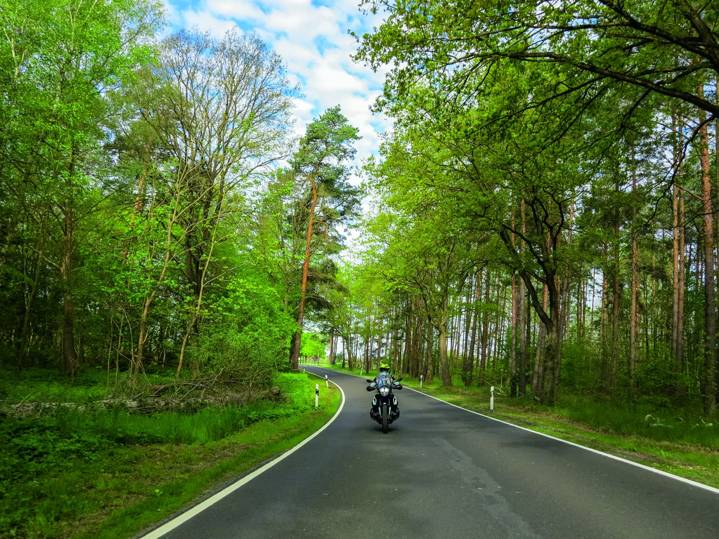 Motorrad auf einer von hohen Bäumen gesäumten Landstraße Motorrad auf einer von hohen Bäumen gesäumten Landstraße